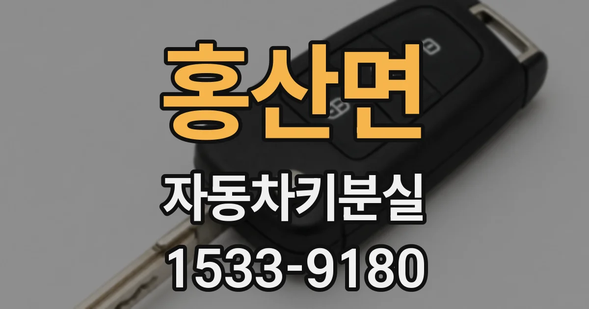 홍산면 자동차키분실