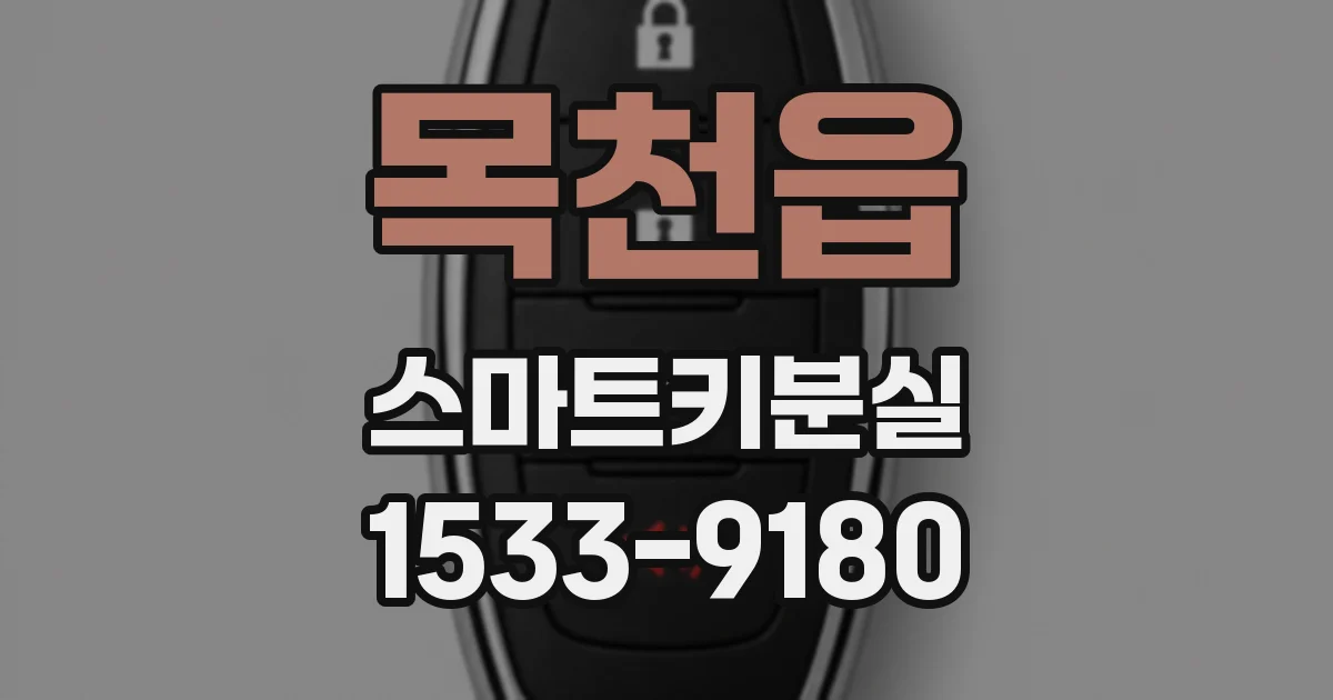 목천읍 스마트키분실