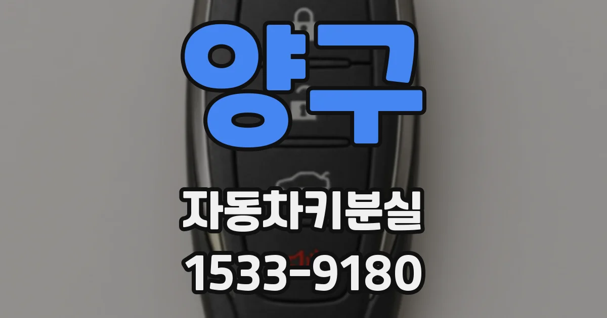 양구 자동차키분실