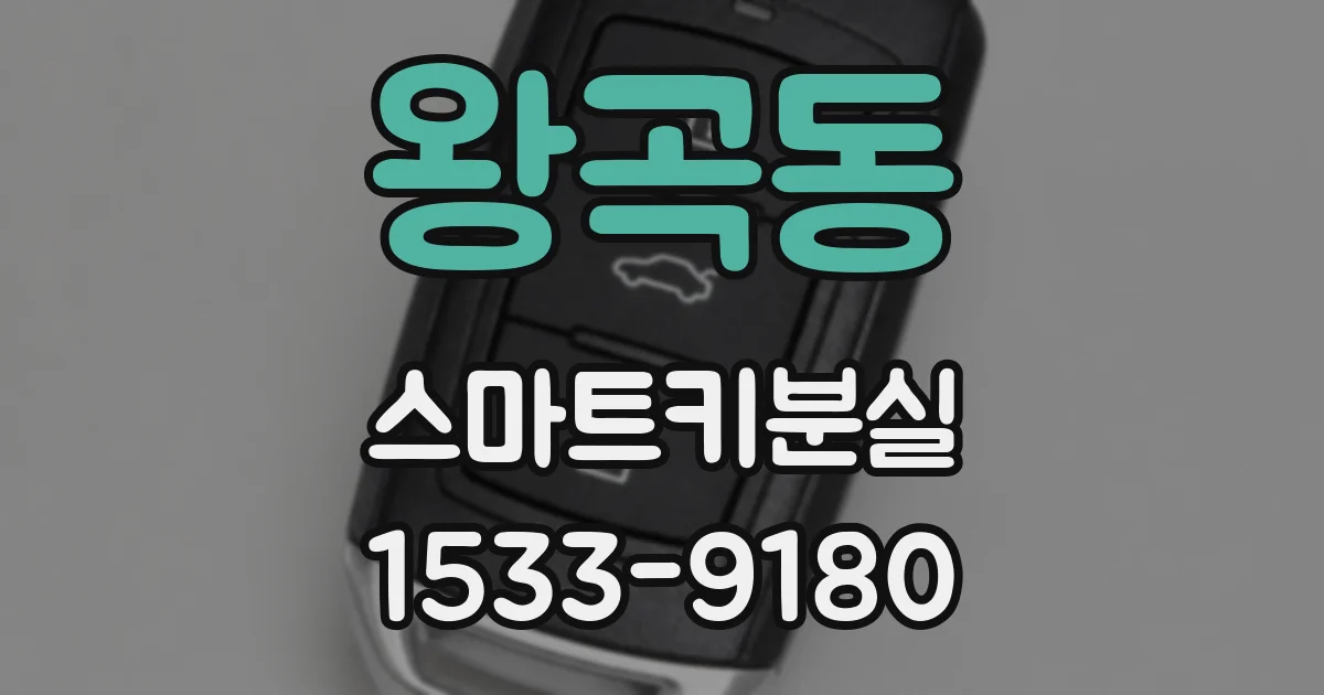 왕곡동 스마트키분실