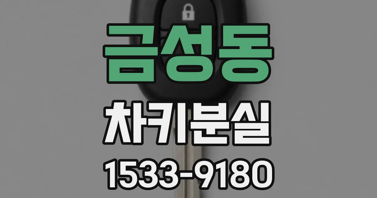 금성동 차키분실
