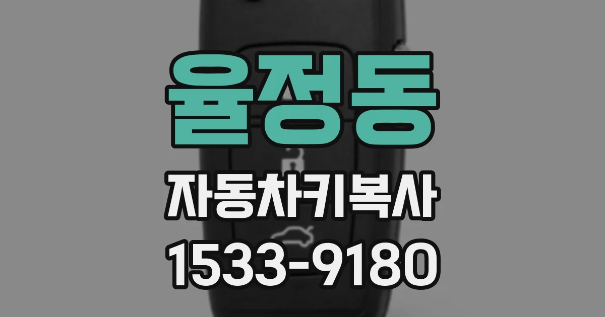 율정동 자동차키복사