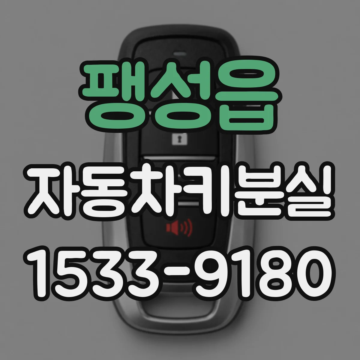 팽성읍 자동차키분실