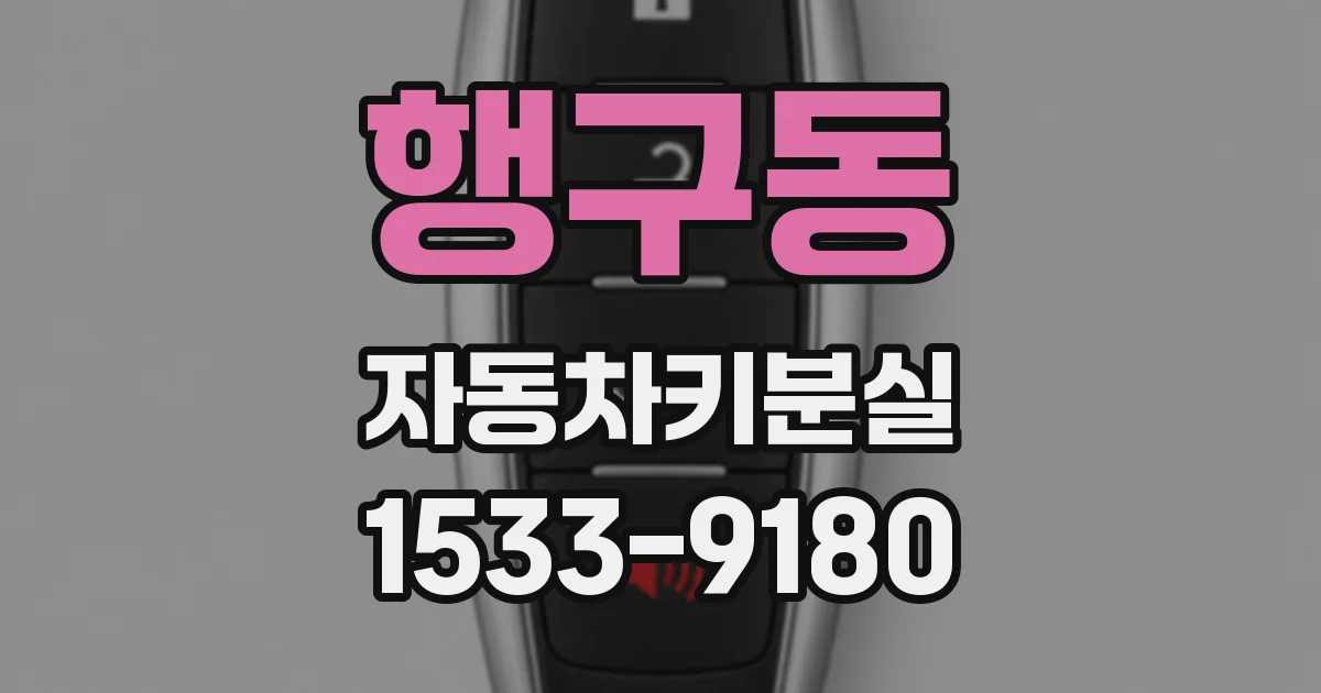 행구동 자동차키분실