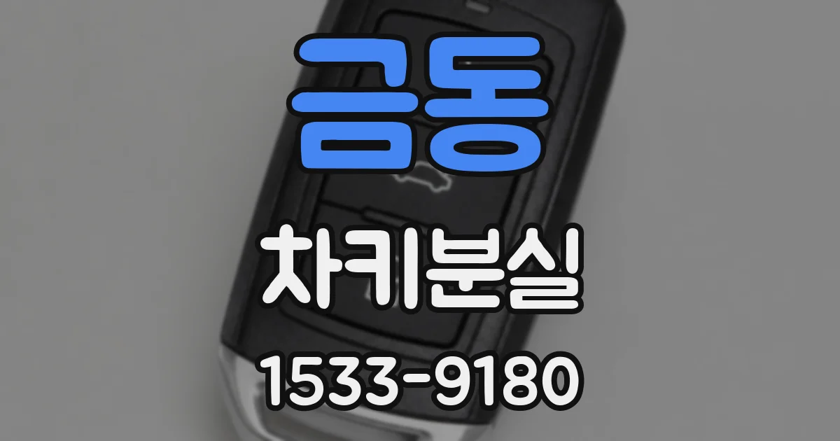 금동 차키분실