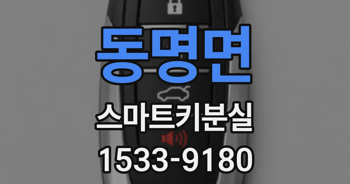 동명면 스마트키분실