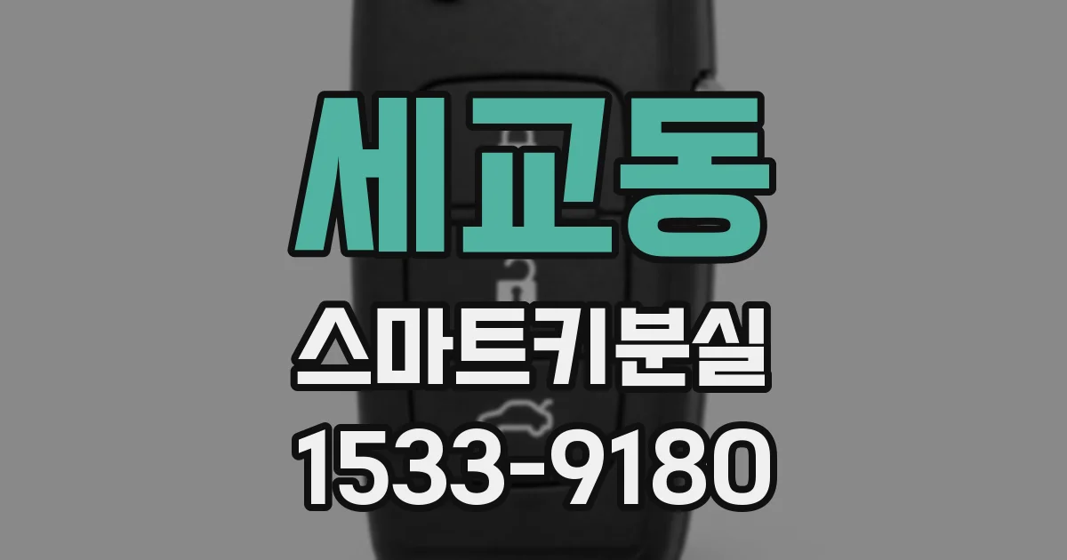 세교동 스마트키분실
