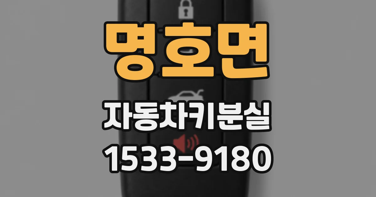 명호면 자동차키분실