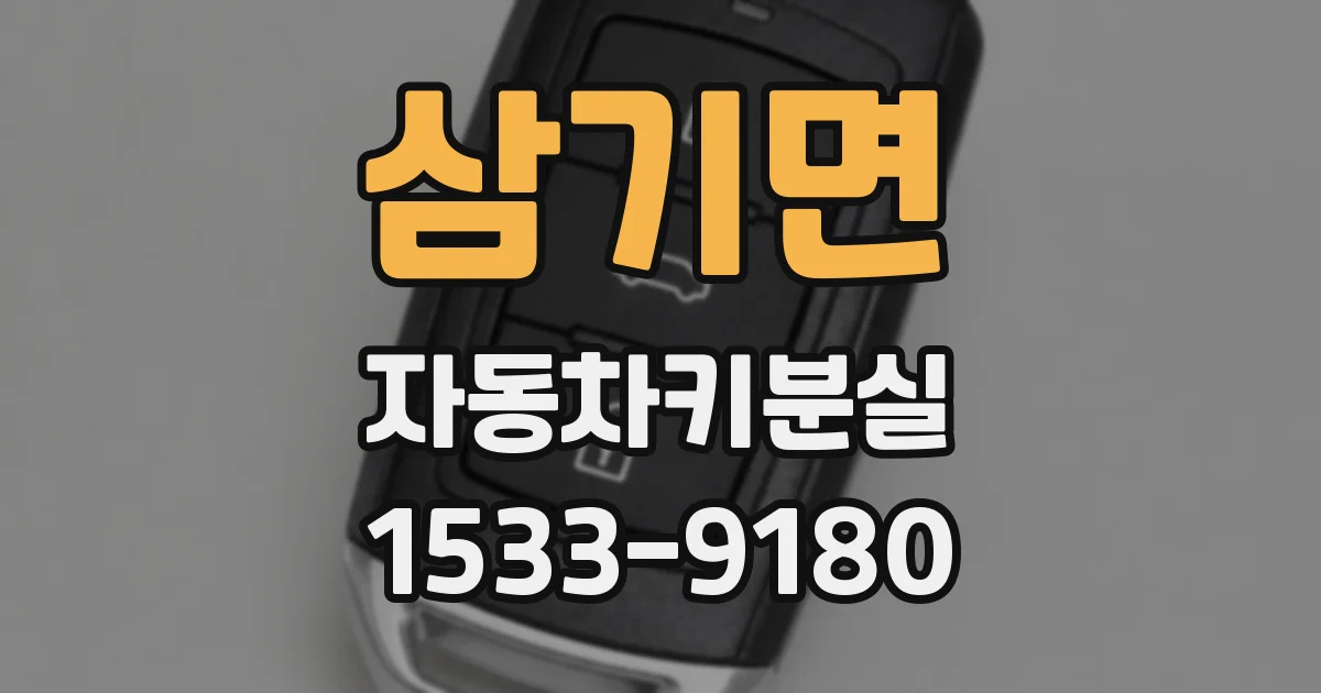 삼기면 자동차키분실