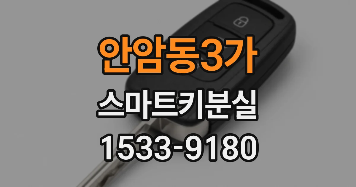안암동3가 스마트키분실