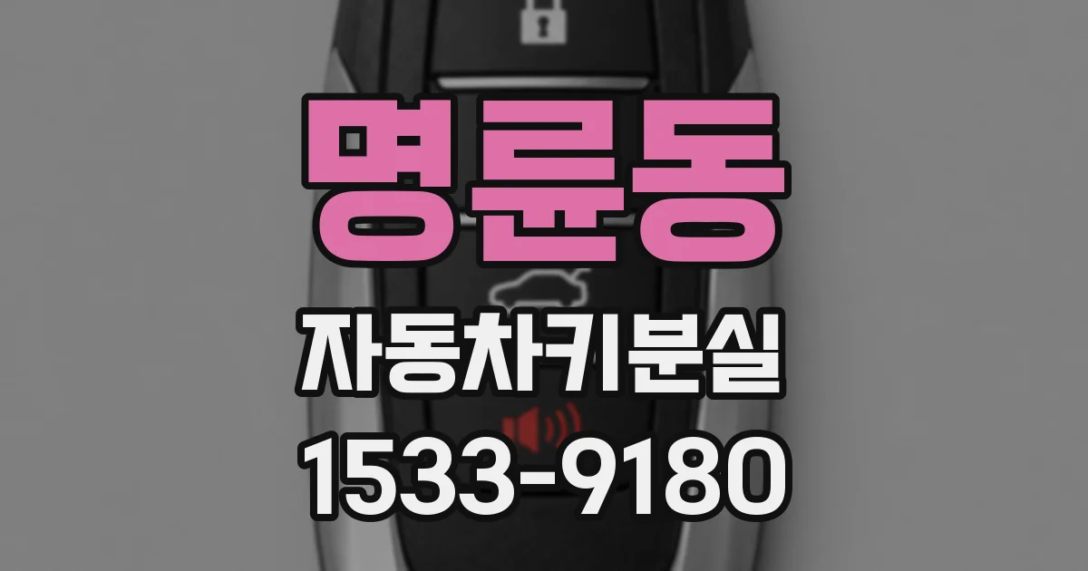 명륜동 자동차키분실