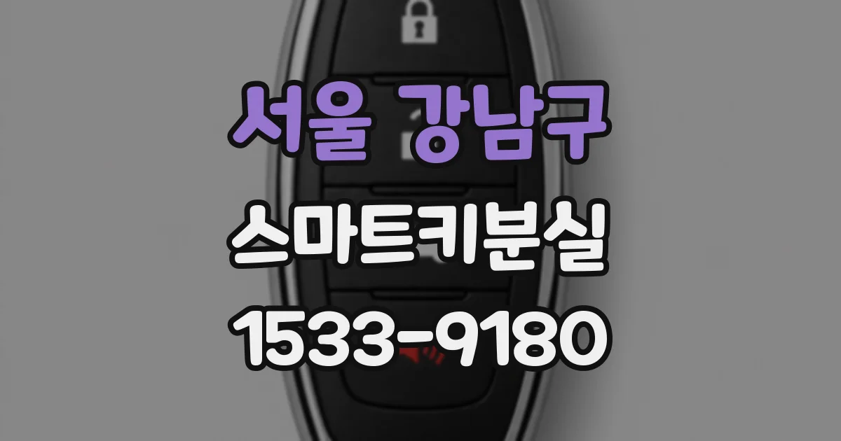 서울 강남구 스마트키분실