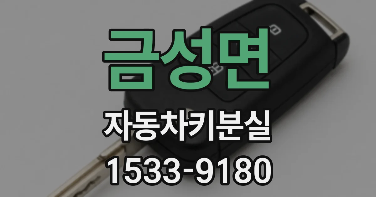 금성면 자동차키분실