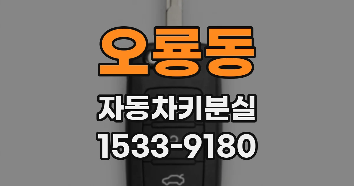 오룡동 자동차키분실