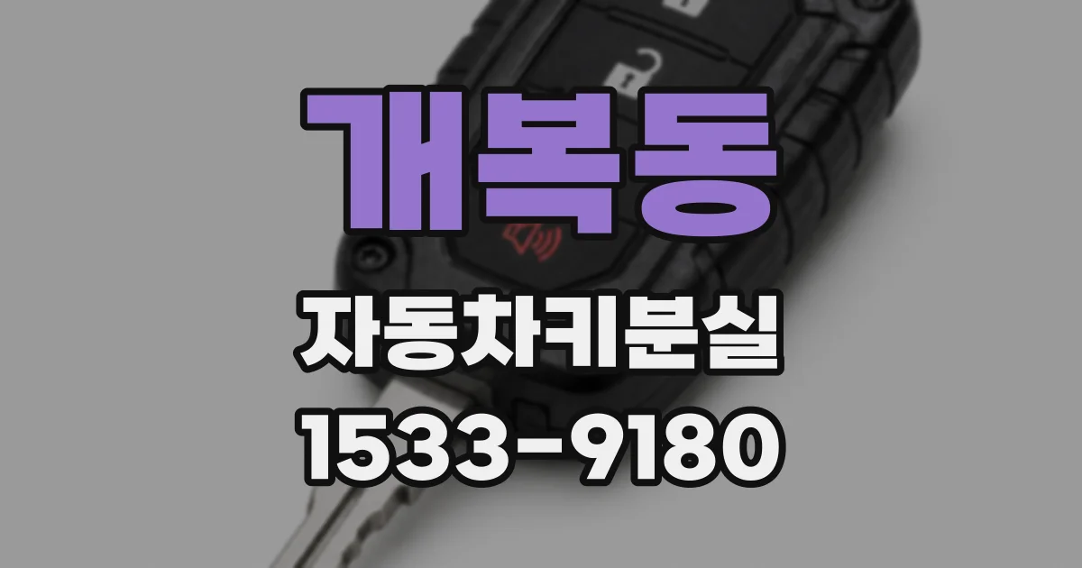 개복동 자동차키분실