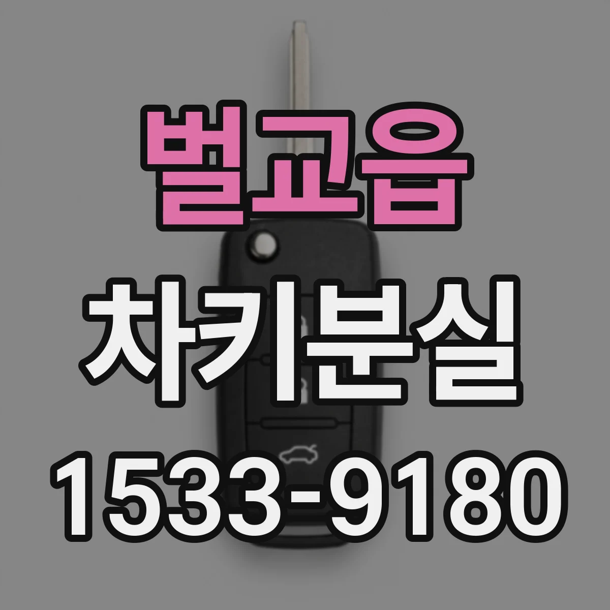 벌교읍 차키분실