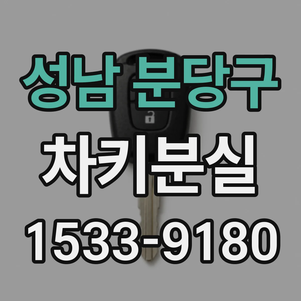 성남 분당구 차키분실