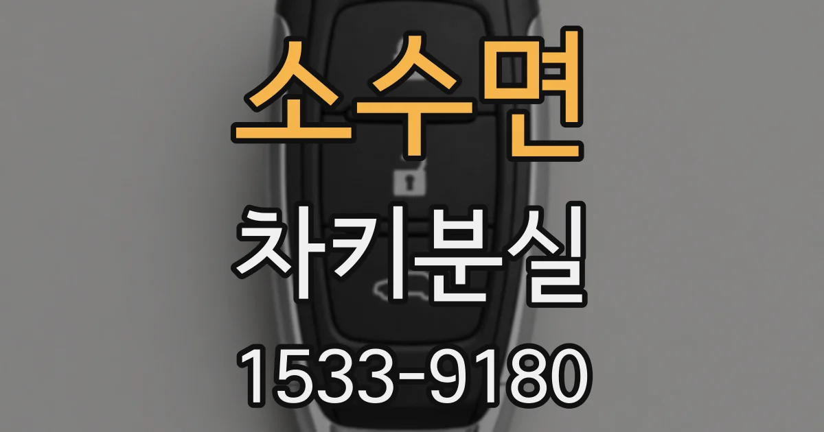 소수면 차키분실