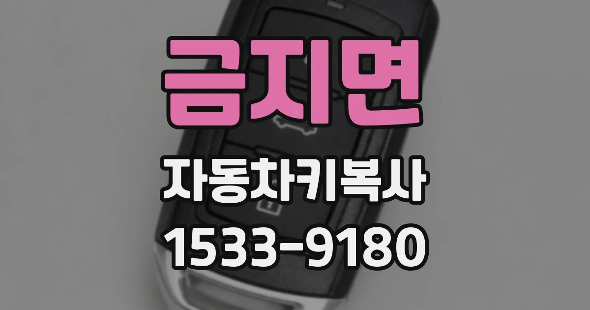 금지면 자동차키복사