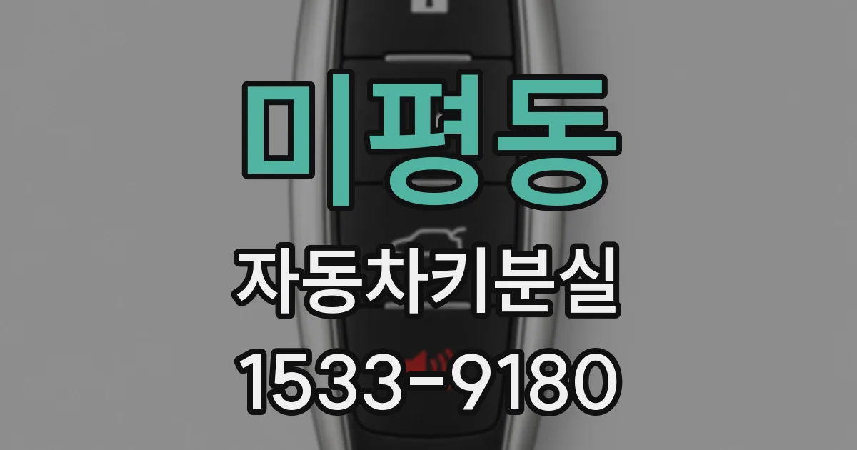 미평동 자동차키분실