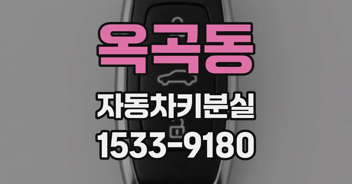 옥곡동 자동차키분실