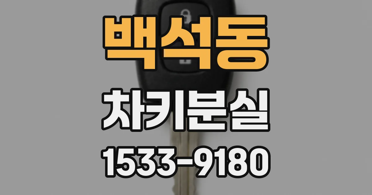 백석동 차키분실