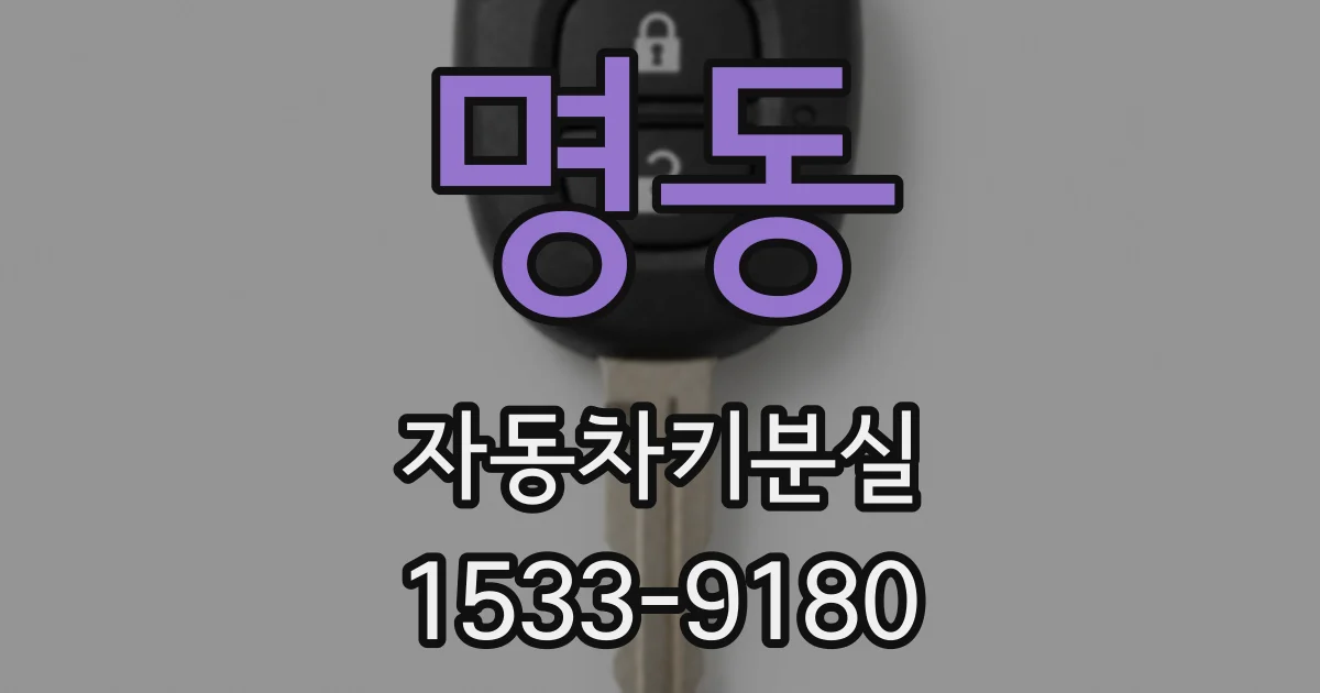 명동 자동차키분실
