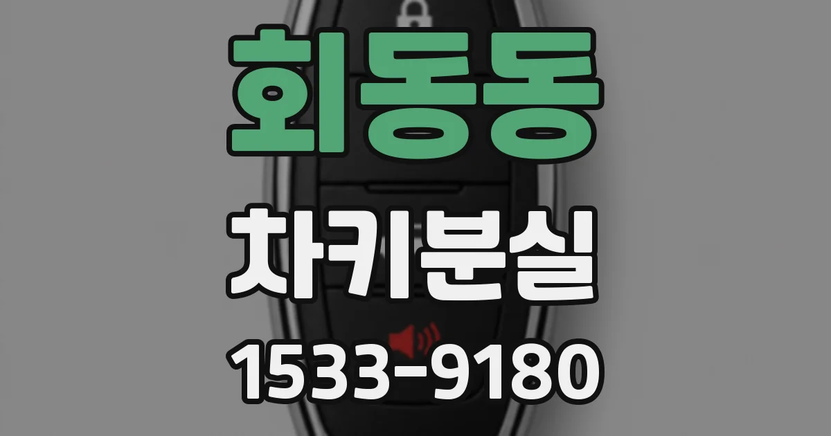 회동동 차키분실