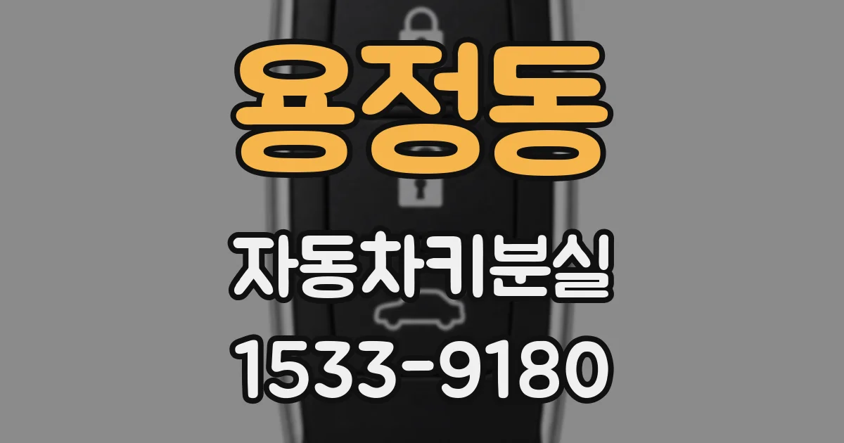 용정동 자동차키분실