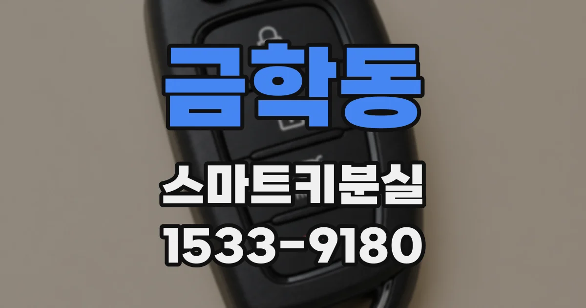 금학동 스마트키분실