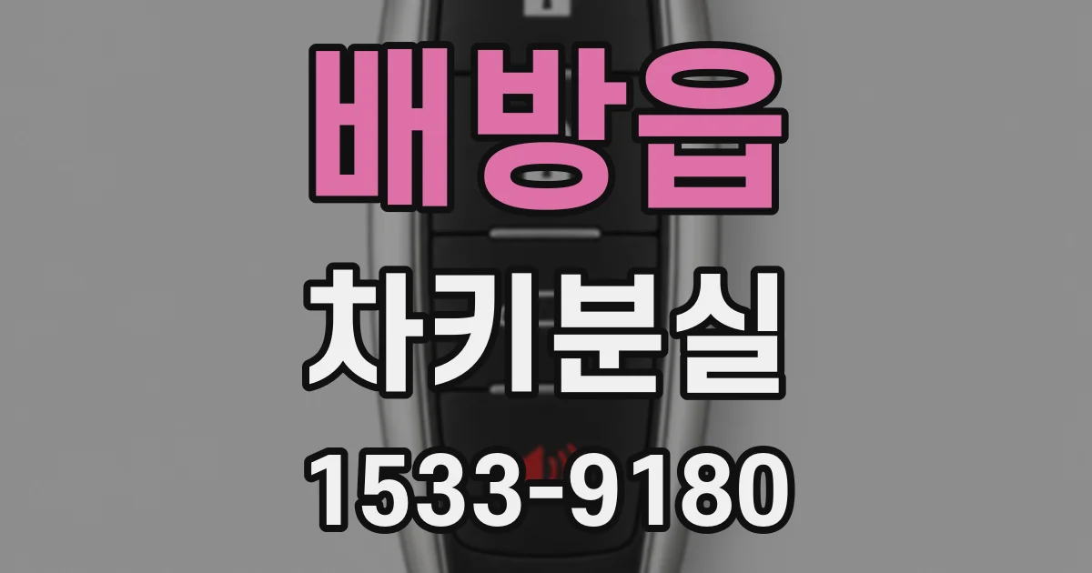 배방읍 차키분실