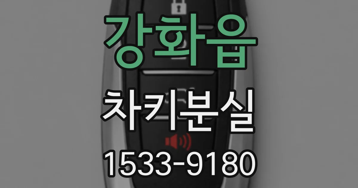 강화읍 차키분실