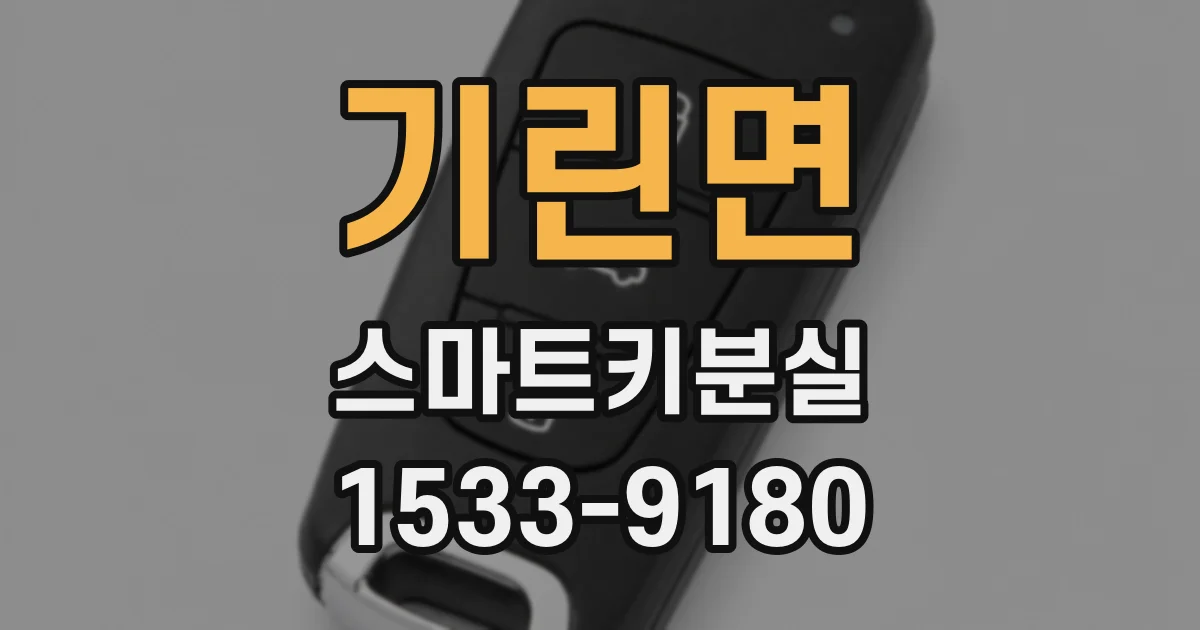 기린면 스마트키분실