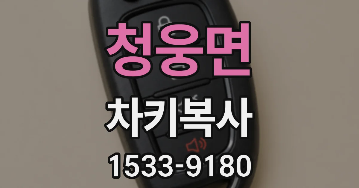 청웅면 차키복사
