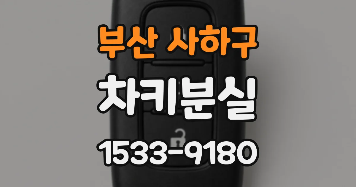 부산 사하구 차키분실