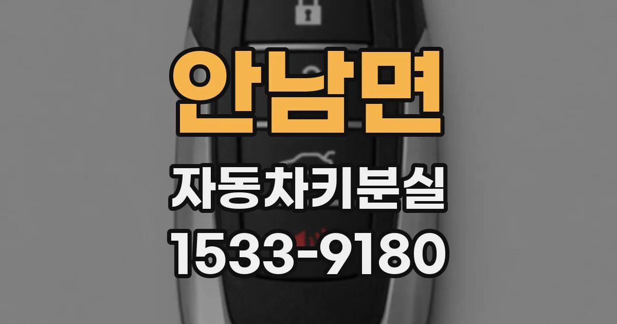 안남면 자동차키분실