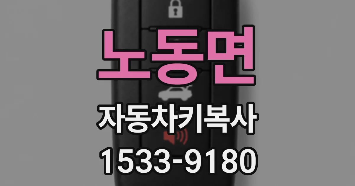 노동면 자동차키복사