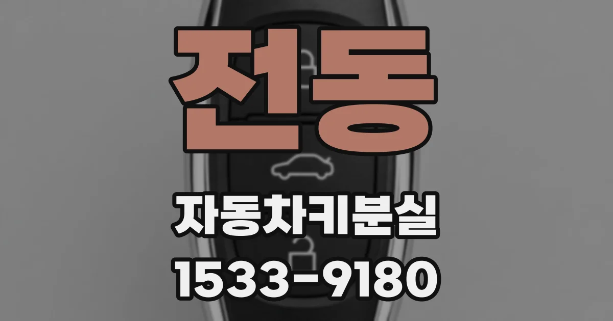 전동 자동차키분실