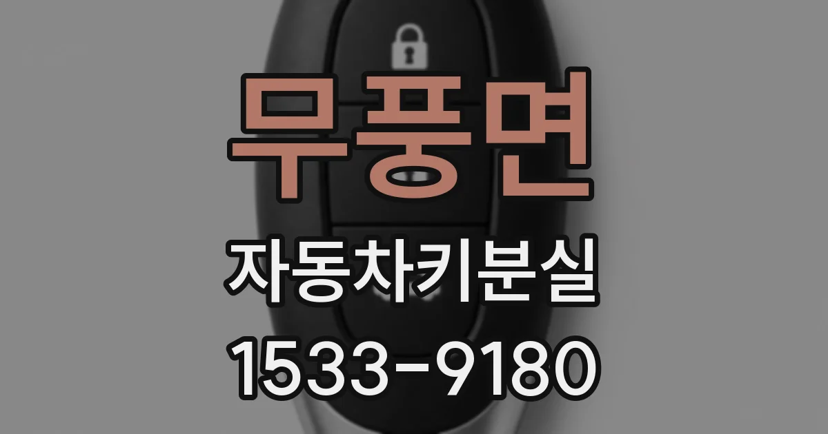 무풍면 자동차키분실