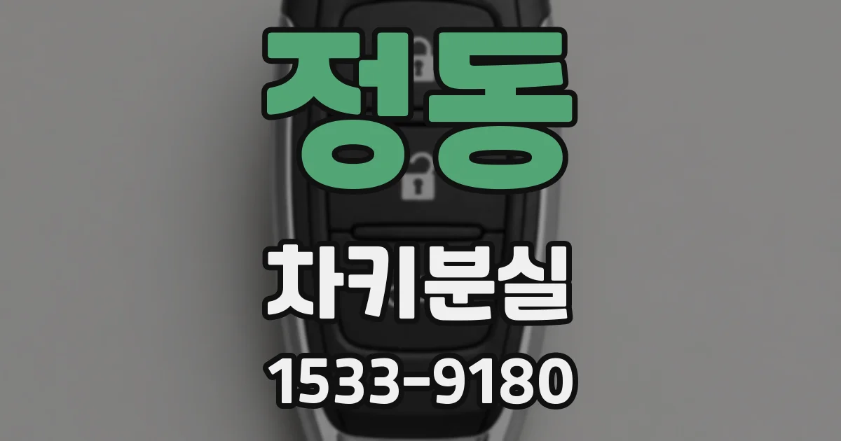 정동 차키분실