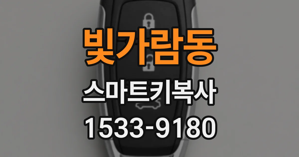 빛가람동 스마트키복사