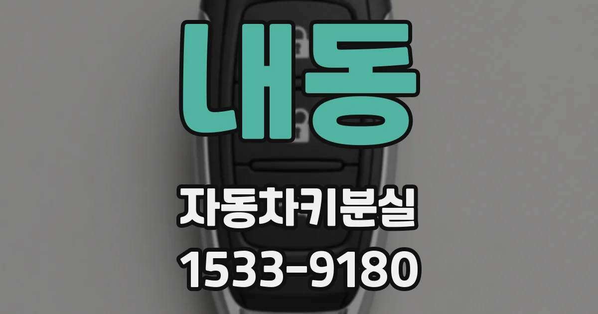 내동 자동차키분실