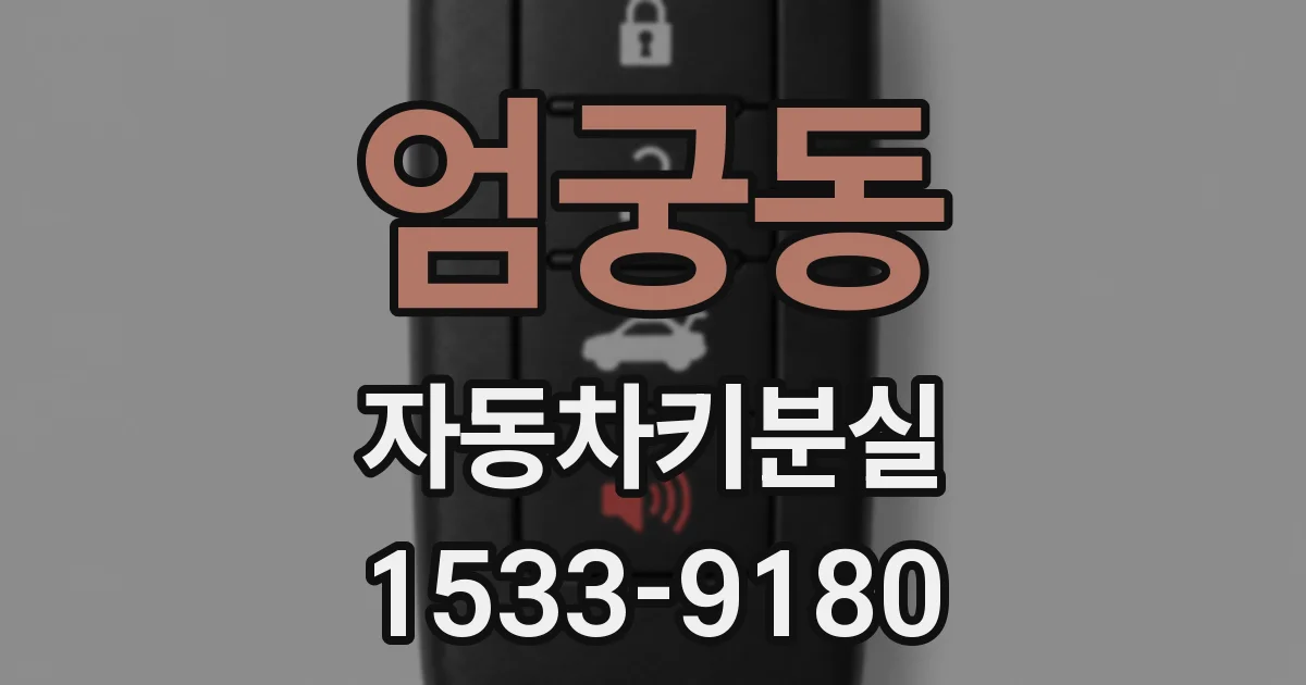 엄궁동 자동차키분실