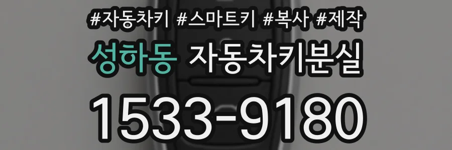 성하동 자동차키분실