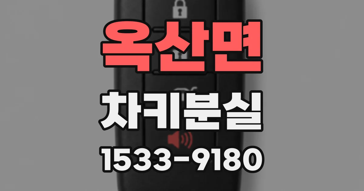 옥산면 차키분실