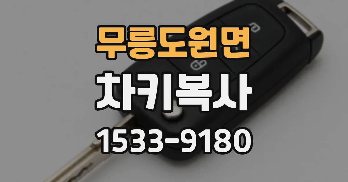 무릉도원면 차키복사