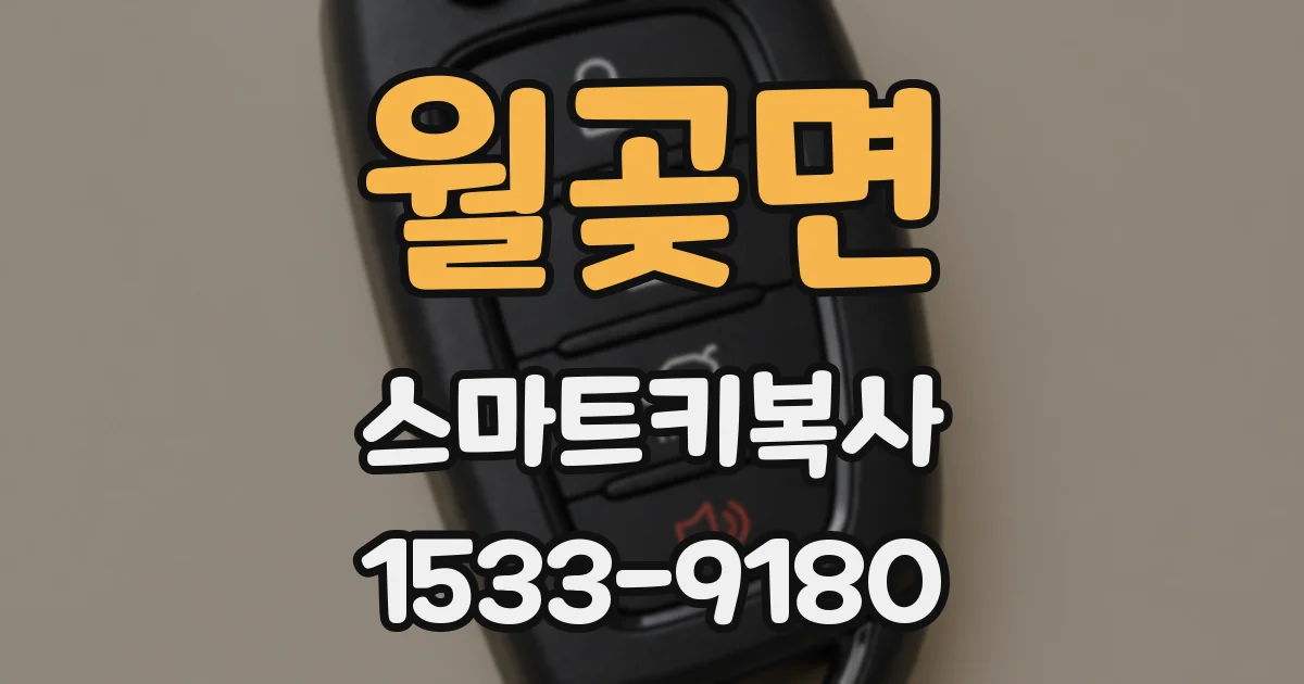 월곶면 스마트키복사