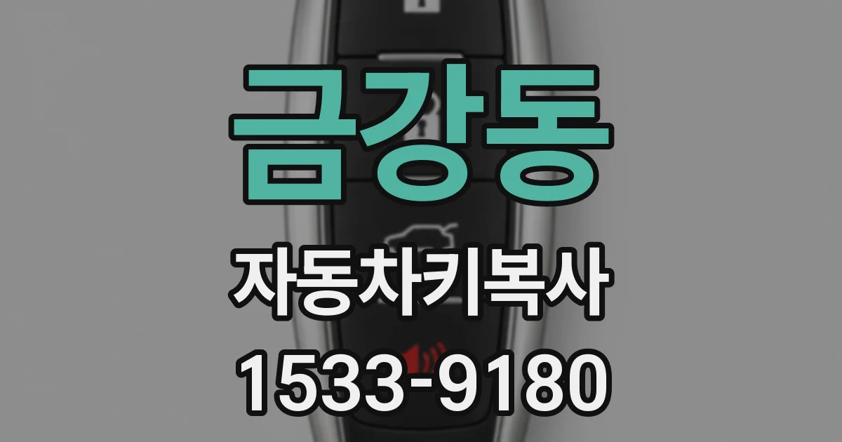금강동 자동차키복사