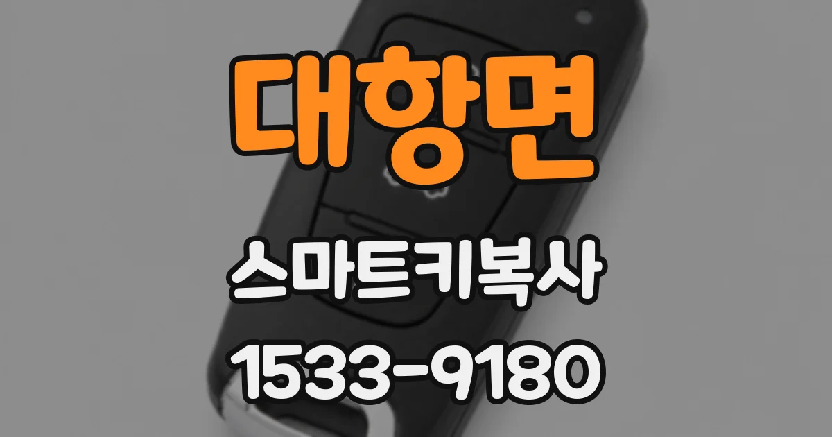대항면 스마트키복사