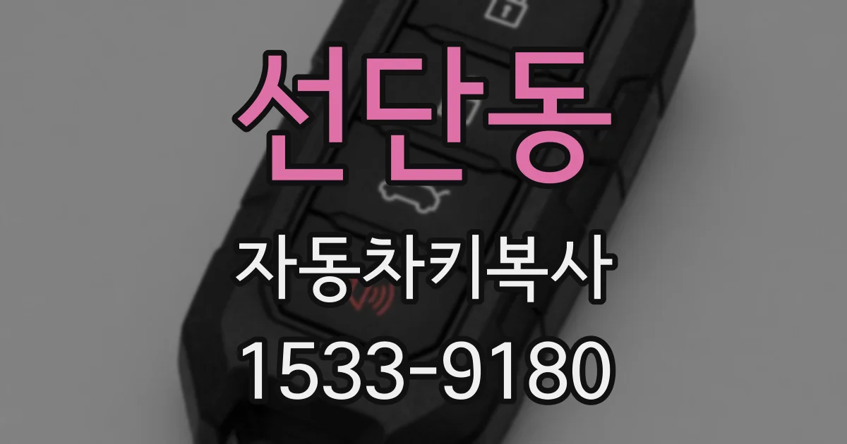 선단동 자동차키복사
